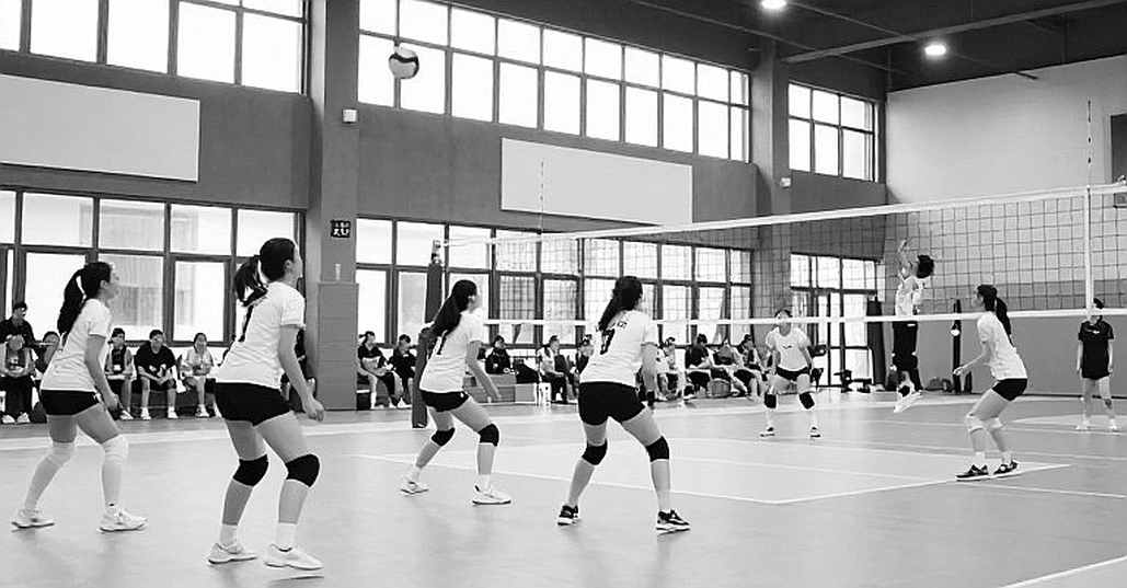 Anh em Likhatskyi, tấm bạc lịch sử của Bulgaria và bài học kiểm chứng từ Budapest Futures