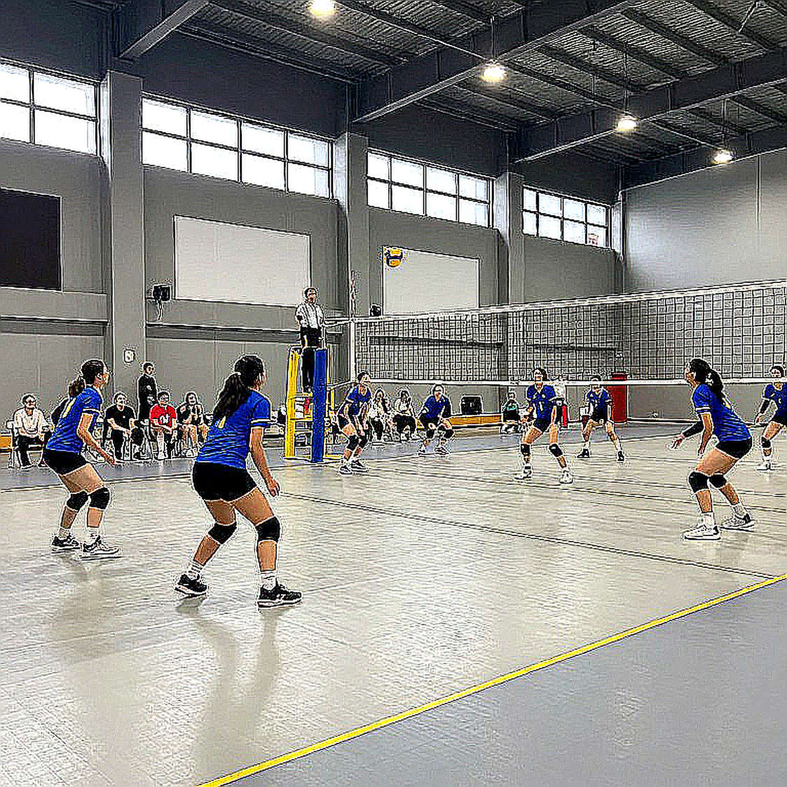 Anh em Likhatskyi, tấm bạc lịch sử của Bulgaria và bài học kiểm chứng từ Budapest Futures