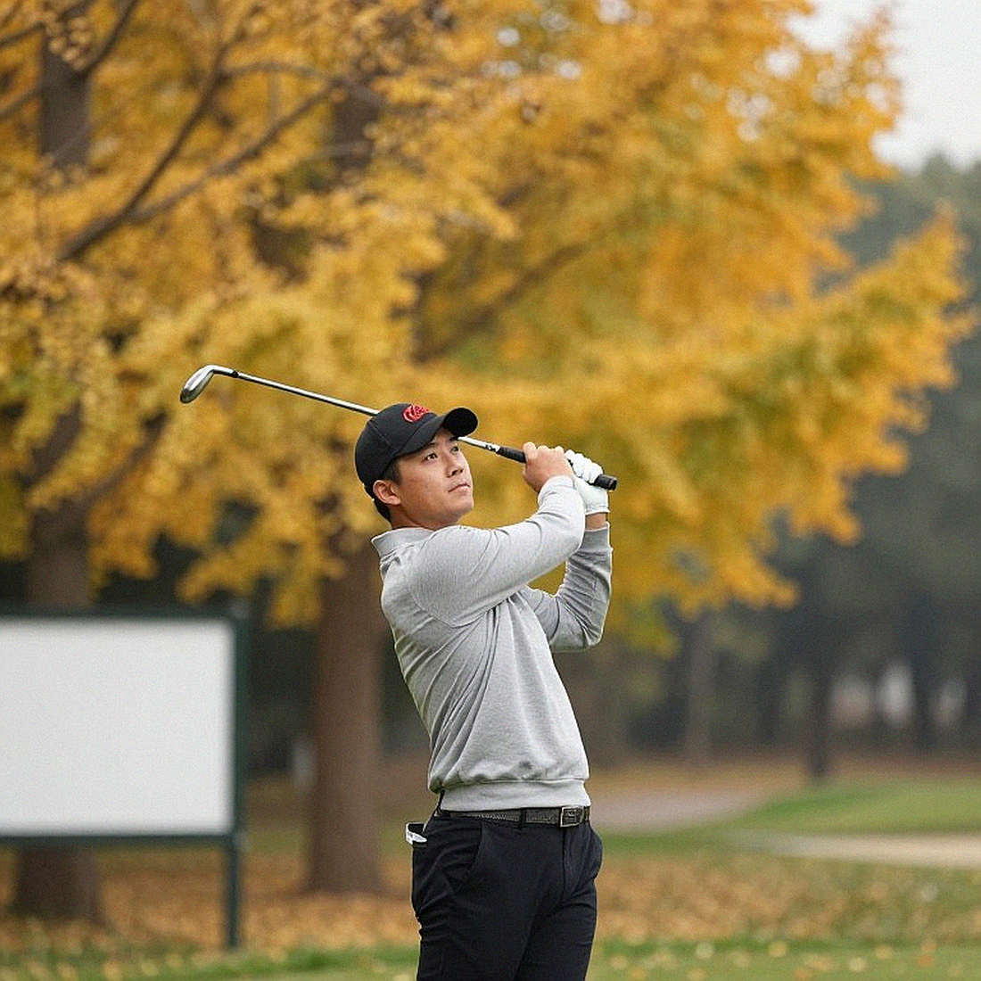 Khi bảng dữ liệu golf trống rỗng: sai số trở thành người dẫn đường